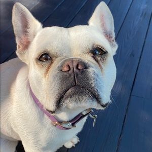 Meet your Posher, Marie